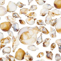 Floral White Acrylic Pendants, Imitation Gemstone Style, Shell/Scallop, Floral White, 30.5x29x11mm, Hole: 1.8mm, 100pcs/set