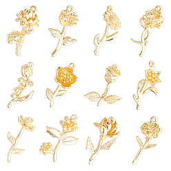Oro 12 piezas 12 estilos colgantes de latón, encantos de la flor, dorado, 20.5~23.5x8.5~16.5x4~11.5 mm, agujero: 0.9~1 mm, 1 pc / estilo
