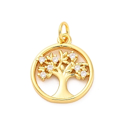 Настоящее золото 16K Латунные микро проложить кубического циркония подвески, без кадмия и без свинца, плоские круглые и елочные подвески, с целью перехода в кольце, реальный 16 k позолоченный, 17.5x15x2 мм, отверстие : 3.5 мм