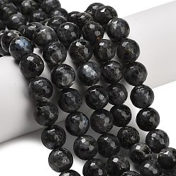 Larvikite Натуральные нити бус из ларвикита, граненые, круглые, 12 мм, отверстие : 1.2 мм, около 32~33 шт / нитка, 14.76~15.16'' (37.5~38.5 см)