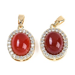 Красный Агат Овальные подвески из натурального сердолика (окрашенные и нагретые), латунные прозрачные кубические циркониевые подвески, реальный 18 k позолоченный, 16x11.5x7.5 мм, отверстие : 4x2 мм