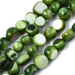 Зеленый Естественных пресноводных оболочки бисер нитей, окрашенные, самородки, зелёные, 7~9x7~8x2.5~6 мм, отверстие : 0.8 мм, около 48~50 шт / нитка, 14.96~15.74 дюйм (38~40 см)