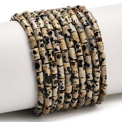 Далматинских Джаспер Природные яшмы далматин бисер нитей, колонка, 5x3 мм, отверстие : 1 мм, около 72 шт / нитка, 15.04'' (38.2 см)