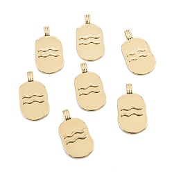 Водолей Латунные подвески, долговечный, овальной формы с созвездием, реальный 18 k позолоченный, Водолей, 24x12.5x2 мм, отверстие : 3.5x1.5 мм