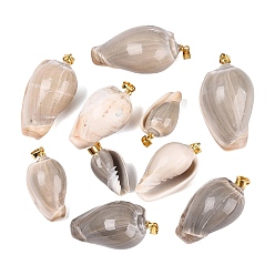 Rosy Brown Brass & Natural Oliva Shell Pendants, Conch Charms, Light Gold, Rosy Brown, 23~42x12~25x11~20mm, Hole: 4~5x3.5mm