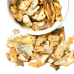 Золотистый Окрашенные натуральные перламутровые ракушки, самородки, чипсы, бусины, золотые, 5~18x5~11 мм, отверстие : 1.2 мм, Около 1980 шт / 500 г