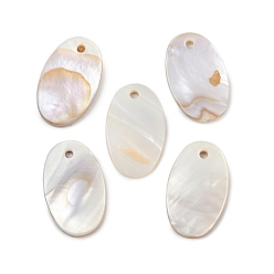 Кремово-белый Овальная пресноводных оболочки подвески, кремово-белые, 26x15x2 мм, отверстие : 2 мм