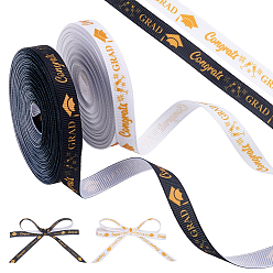 (52) Непрозрачная лаванда 2 рулоны 2 цвета полиэфирной ленты, лента с узором на тему выпускного сезона, для подарка украшения, разноцветные, 3/8 дюйм (10 мм), о 20 ярдов / крен, 1 рулон / цвет