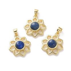 Ляпис-Лазурь Природный лазурит подвески, стойка покрытие золотистый тон латунные подвески, долговечный, без свинца и без кадмия, цветок, 18x16x5~5.5 мм, отверстие : 3.5x3 мм