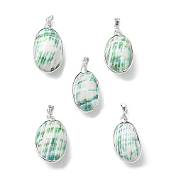 Other Sea Shell Natural Sea Shell Pendants, Oval Charms, with Platinum Tone Brass and Alloy Findings, 40~43x18~21.5x16.5~18mm, Hole: 4x5.5mm