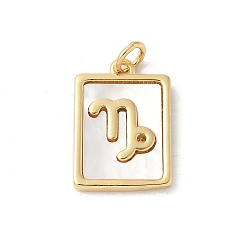 Козерог Подвески из латуни с натуральными белыми ракушками, подвески-созвездия с соединительными кольцами, реальный 18 k позолоченный, долговечный, без свинца и без кадмия, стойки покрытие, Козерог, 17x12x2 мм, отверстие : 3 мм