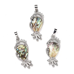 Раковина Экологически чистые подвески из латуни с покрытием из натуральной пауа, без кадмия и без свинца, попугай, платина, 38.5x16x7.5 мм, отверстие : 8 мм