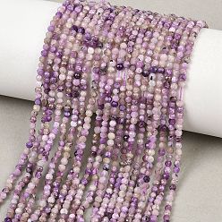 Чароит Естественно чароитовыми бисер пряди, круглые, граненые, 2~2.5 мм, отверстие : 0.5 мм, около 191 шт / нитка, 15.43'' (39.2 см)