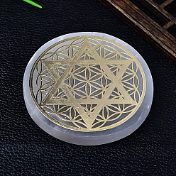 Звезда Натуральный марокканский гипсовый коврик для чашки скульптура витрина украшения, для домашнего офисного стола, звезда, 63x6 мм