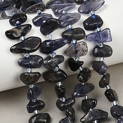 Айолит Природные иолит нитей бисера, самородки, с бисером, 6~17x3.5~8.5x1~6.5 мм, отверстие : 0.8 мм, около 51~63 шт / нитка, 15.35~16.73'' (39~42.5 см)