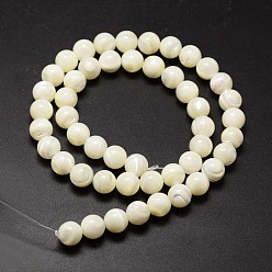Creamy White Natural Sea Shell Beads Strands, Round, Creamy White, 8mm, Hole: 0.8mm, about 51pcs/strand, 15.75 inch