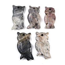 Пикассо Камень Подвески из натуральной яшмы пикассо в виде совы, прелести животных, 36.5~44x18.5~26x7~8.5 мм, отверстие : 3 мм