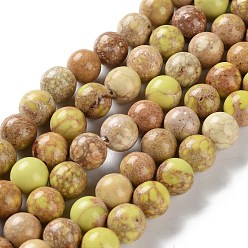 Светло-хаки Нити бусин из окрашенного натурального регалита/императорской яшмы/морского осадка яшмы, круглые, светлый хаки, 8 мм, отверстие : 1.2 мм, около 23 шт / нитка, 7.64'' (19.4 см)