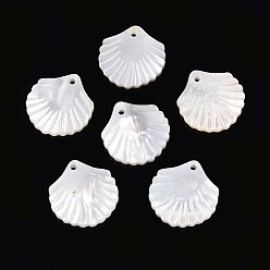 Кремово-белый Резные подвески из натуральных белых ракушек, подвески в форме ракушек, кремово-белые, 15.5~16x15~15.5x2~2.5 мм, отверстие : 1.2 мм