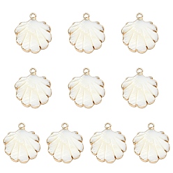 Морская Ракушка 10шт. подвески из натуральных пресноводных ракушек с гальваническим покрытием, подвески в форме ракушек с фурнитурой из железа, золотые, цвет морской раковины, 20~23x18~20x2.5 мм, отверстие : 1.5 мм
