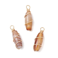 Золотой Подвески из натурального полосчатого агата с медной проволокой, рисовые прелести, верблюжие, золотые, 27.5~28x9.5 мм, отверстие : 3 мм