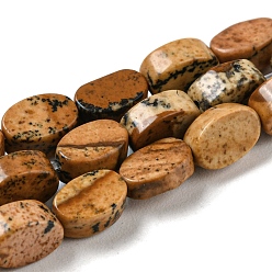 Пейзажный Джаспер Естественного изображения яшмы бисер нитей, Плоско-овальные, 6~6.5x4~4.5x2.5 мм, отверстие : 0.6 мм, около 64 шт / нитка, 15.94'' (40.5 см)