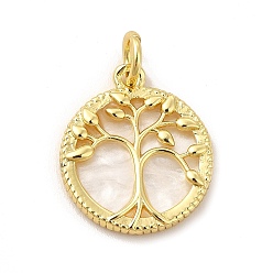 Tree of Life Стеллаж гальванический латунный с пластиковыми подвесками, реальный 18 k позолоченный, плоская круглая с подвесками дерево жизни, без свинца и без кадмия, шаблон дерева жизни, 20x17.5x3 мм, отверстие : 4.5 мм