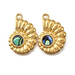 Shell Shape 304 подвески из натуральной ракушки пауа из нержавеющей стали, прелести морских животных, золотые, ионное покрытие (ip), формы раковины, 27x19x2.5 мм, отверстие : 2.2 мм