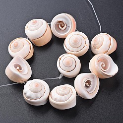Antique White Natural Spiral Shell Bead Strands, Antique White, 15~18x8~15mm, Hole: 0.8mm, about 11pcs/strand, 7.09 inch(18cm)