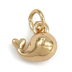 Настоящее золото 18K Латунные подвески кита, долговечный, стойки покрытие, без свинца и без кадмия, с целью перехода в кольце, реальный 18 k позолоченный, 9x10x5.5 мм, отверстие : 3 мм