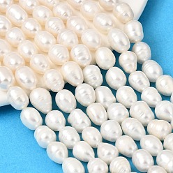 Grade AA Нити из натурального культивированного пресноводного жемчуга, рис, papayawhip, класс АА, 7~8 мм, отверстие : 0.6 мм, около 36~46 шт / нитка, 13.39~13.58'' (34~34.5 см)