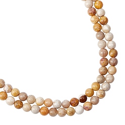 Fossil Coral Natural Fossil Coral Beads Strands, Round, 8mm, hole: 1mm, 49pcs/strand, 15.3 inch, 2strands/box