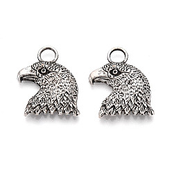 Античное Серебро Сплавочные подвески тибетского стиля, прелести орла, античное серебро, 23x18x3 мм, отверстие : 4 мм, о 163пас/1000г