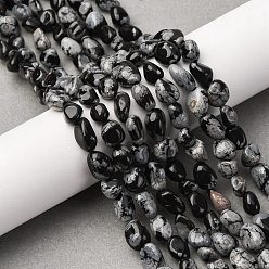 Снежный Обсидиан Природные снежинка обсидиан бисер нитей, самородки, упавший камень, 6.5~10x5~7x4~6.5 мм, отверстие : 1 мм, около 46~53 шт / нитка, 15.16''~15.75'' (38.5~40 см)