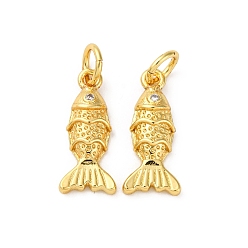 Настоящее золото 18K Латунные микро проложить кубического циркония подвески, рыба, стойки покрытие, долговечный, без кадмия и без свинца, с целью перехода в кольце, реальный 18 k позолоченный, 16x7x3 мм, отверстие : 3 мм