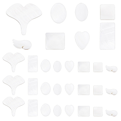 Couleur Mélangete 48pcs 8 cabochons de coquillages d'eau douce naturels de style, coeur & feuille de ginkgo & aile & carré & rectangle & ovale & rectangle, couleur mixte, 6 pcs / style