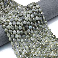Лабрадорита Природные лабрадорита бисер нитей, граненый шестиугольный разрез, плоско-круглые, с бисером, 8~8.5x5 мм, отверстие : 0.8 мм, около 36 шт / нитка, 15.16''~15.24'' (38.5~38.7 см)