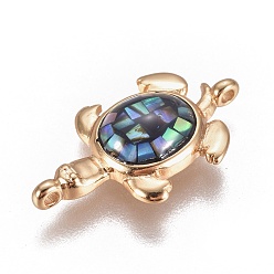 Золотой Ссылки на оболочку морского ушка / оболочку пауа, с латунной фурнитурой , Морская черепаха, золотые, 12.5x21x4 мм, отверстие : 1.2 мм