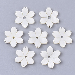 Coquillage De Mer Perles de coquille d'eau douce, fleur, couleur de coquillage, 15x13.5x3mm, Trou: 1.6mm