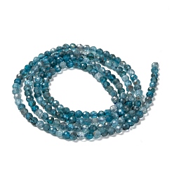 Apatite Natural Apatite Beads Strands, Faceted, Round, 2mm, Hole: 0.5mm, about 175pcs/strand, 14.9 inch(38cm)