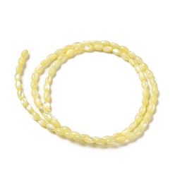 Yellow Natural Trochus Shell Beads Strands, Dyed, Rice, Yellow, 5x3~3.5mm, Hole: 0.7mm, about 81~82pcs/strand, 15.39''~15.51''(39.1~39.4cm)
