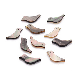 Черный Натуральный черный губы бусы оболочки, птица, чёрные, 6x15x2 мм, отверстие : 0.7 мм