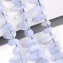 Синий Кружевый Агат Натуральный голубой кружевной агат бисер нитей, самородки, Топ пробуренной, упавший камень, с бисером, 9.5~25x4~11.5x3.5~8 мм, отверстие : 0.8~1 мм, около 42~61 шт / нитка, 14.96~16.14'' (38~41 см)