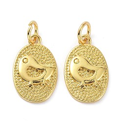 Настоящее золото 18K Латунные подвески, с целью перехода в кольце, долговечный, овал с перемычкой, реальный 18 k позолоченный, 16x10x2 мм, отверстие : 3 мм