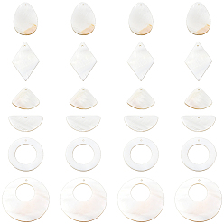 Белый 24 шт 6 стили натуральные пресноводные подвески из ракушек, разнообразные, белые, 14.5~45x20~30x2~3 мм, отверстие : 1~1.5 мм, 4 шт / стиль