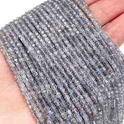 Лабрадорита Природные лабрадорита бисер нитей, граненые, кубические, класс А, 2.5x2.5x2.5 мм, отверстие : 0.6 мм, около 175 шт / нитка, 15.55 дюйм (39.5 см)