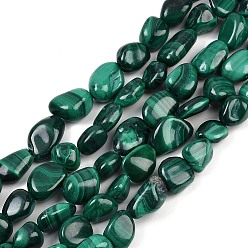 Малахит Природного малахита бисер нитей, самородки, упавший камень, 8~12x7~10x5.5~8 мм, отверстие : 0.5 мм, около 43 шт / нитка, 15.55 дюйм (39.5 см)