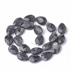 Larvikite Natural Labradorite Beads Strands, Faceted, teardrop, 18x13x5mm, Hole: 1mm, about 22pcs/strand, 15.5 inch