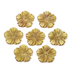 Verge D'or Perles de coquillages naturels d'eau douce, sculpté, teint, fleur, verge d'or, 28x28x3mm, Trou: 1.6mm