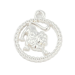 Лео Подвески из сплава «двенадцать созвездий», Лев, 22.5x19x2.5 мм, отверстие : 1.8 мм